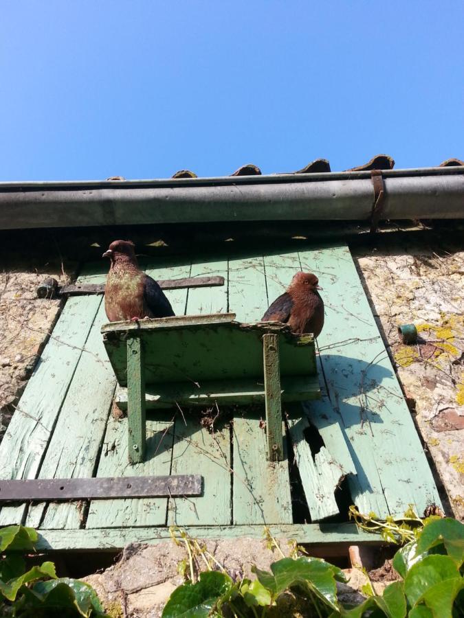 Petit Manoir De La Berthenlaire Panzió Baincthun Kültér fotó